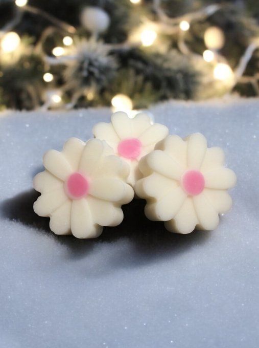 Fondant parfum Baies givrées