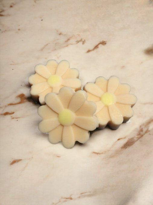 Fondant parfum Balade à Tokyo