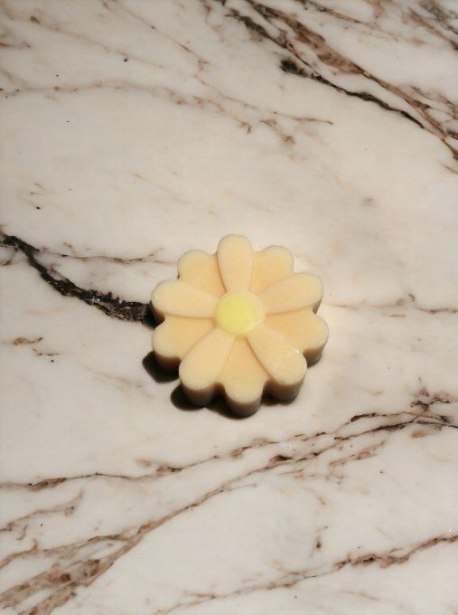 Fondant parfum Balade à Tokyo