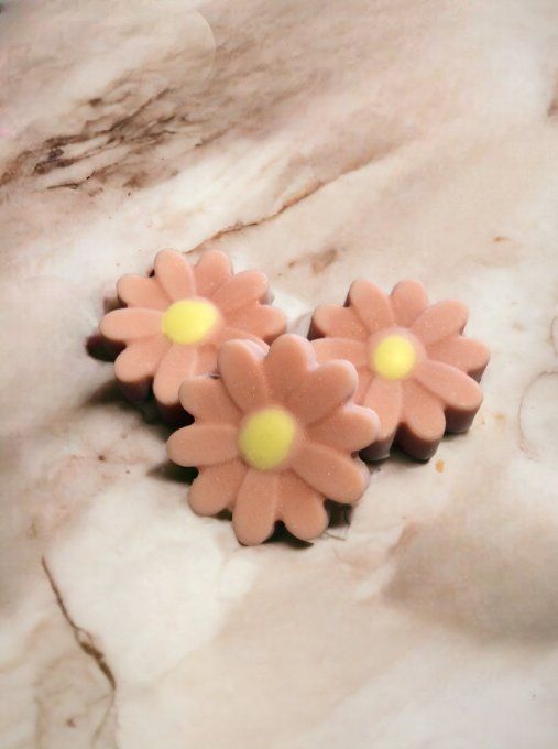 Fondant parfum Caramel beurre salé
