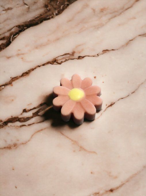Fondant parfum Caramel beurre salé
