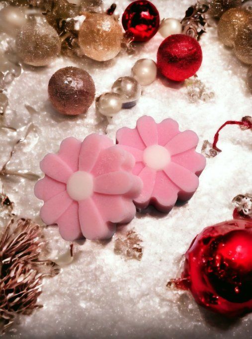 Fondant parfum Chalet en Laponie