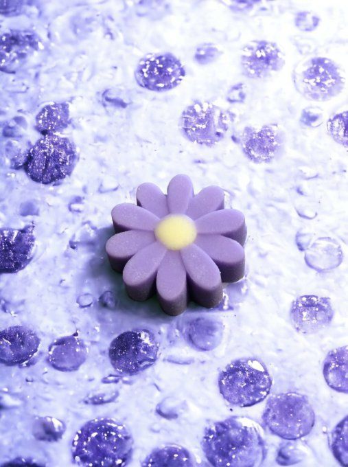 Fondant parfum Figue