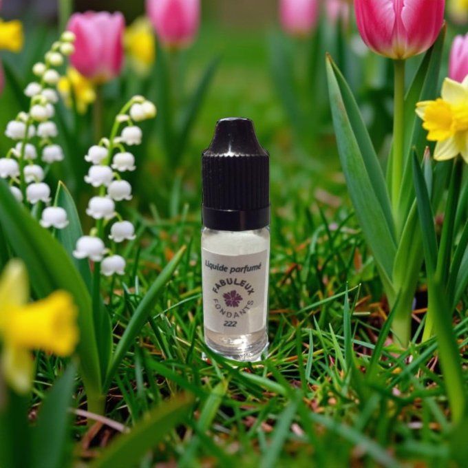 Liquide parfumé 222