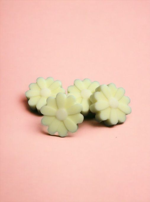 Fondant parfum Grand air