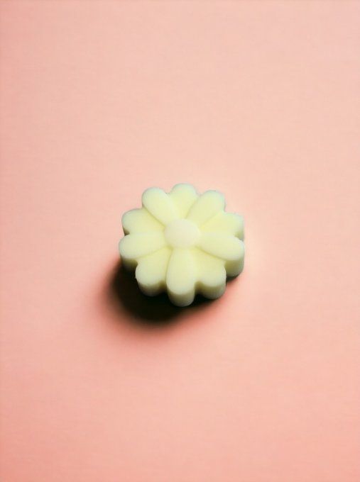 Fondant parfum Grand air