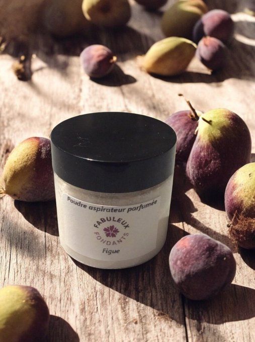 Poudre aspirateur Figue