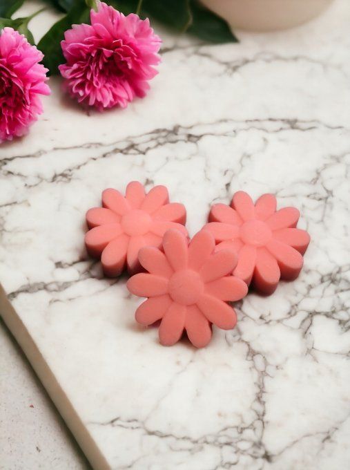 Fondant parfum Pomme Cannelle